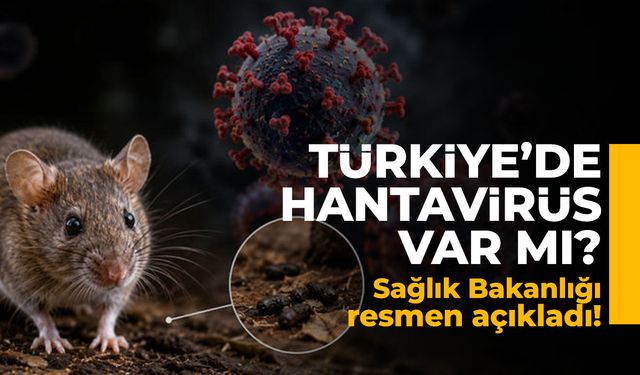 Türkiye'de Hantavirüs var mı? Sağlık Bakanlığı resmen açıkladı!