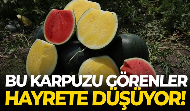 Bu karpuzu görenler hayrete düşüyor!