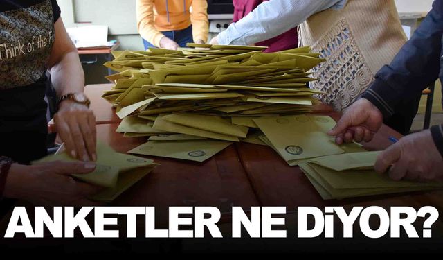 Bu Pazar seçim olsa hangi partiye oy verirsiniz? Asal’dan dikkat çeken araştırma!
