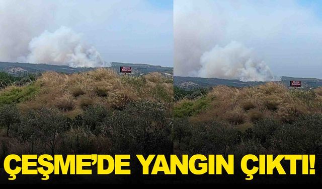 Çeşme’de çöplük yangını ormana sıçradı!
