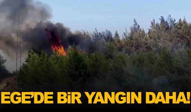 Ege’den ardı ardına yangın haberleri... Bu kez Muğla’da çıktı!