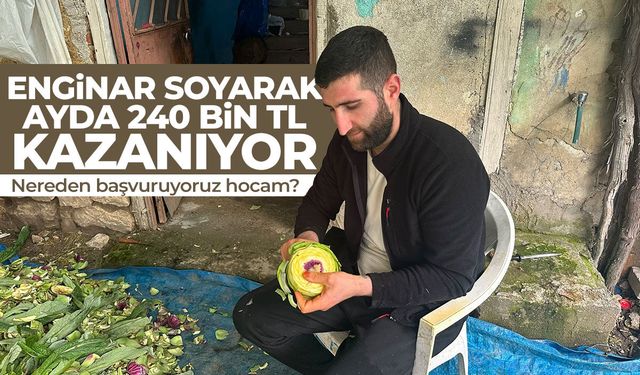 Enginar soyarak ayda 240 bin TL kazanıyor