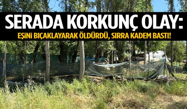 Serada dehşet: Eşini bıçaklayarak öldürüp sırra kadem bastı!