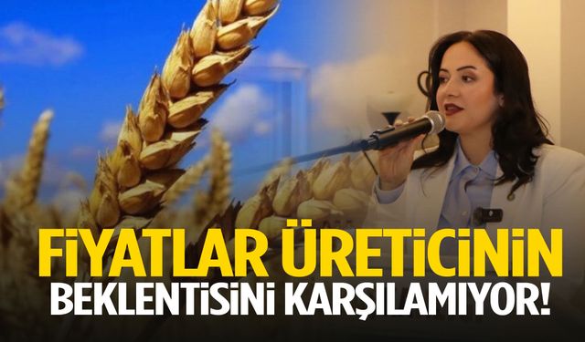 Fiyatlar üreticinin beklentisini karşılamıyor!