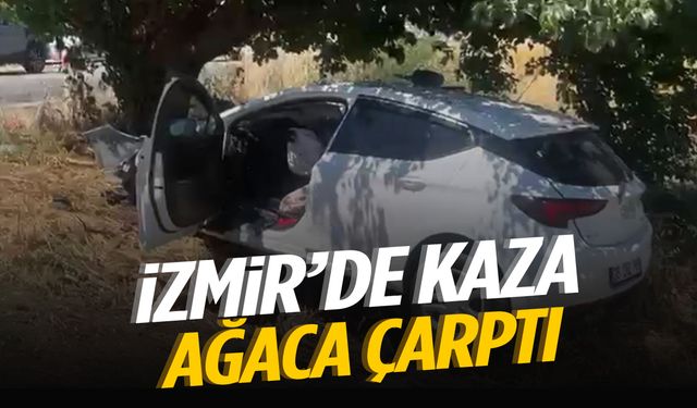 İzmir’de sollama yaparken ağaca çarptı