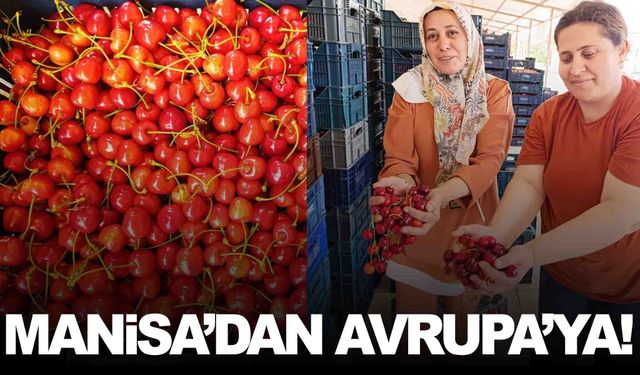 Tütüne alternatifti... Şimdi Avrupa sofralarını süslüyor!