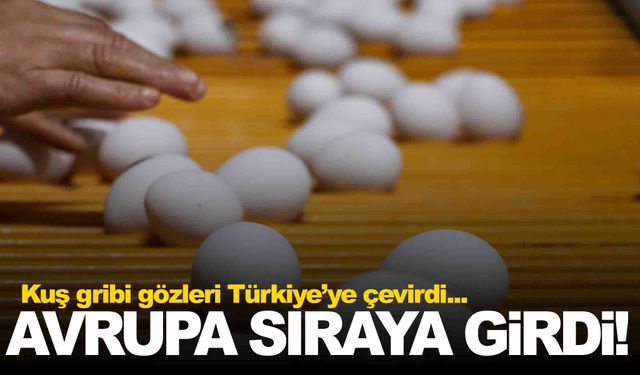 Kuş gribi gözleri Türkiye’ye çevirdi... Avrupa ülkeleri sıraya geçti!