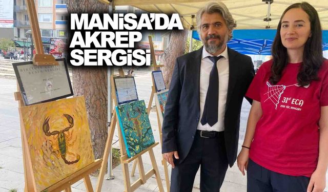 Manisa’da akrep sergisi... 81 ilden 160 tane geldi!