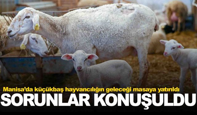 Manisa’da küçükbaş hayvancılığın geleceği masaya yatırıldı