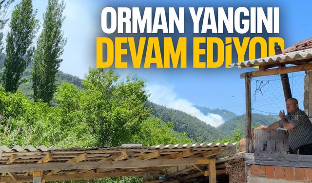 Manisa'da orman yangını devam ediyor! Havadan müdahale var...