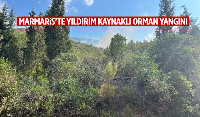 Marmaris’te yıldırım kaynaklı orman yangını