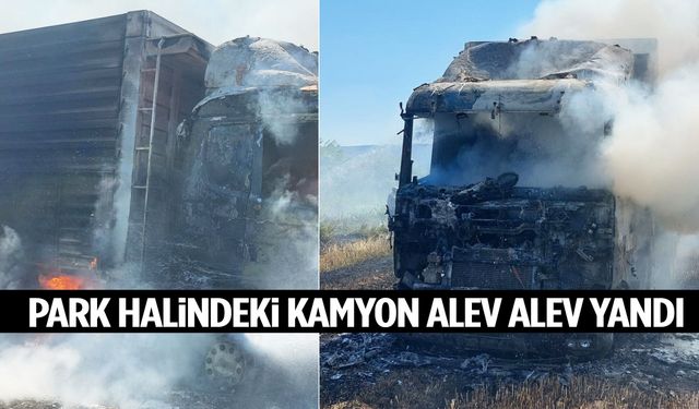 Park halindeki kamyon alev alev yandı!
