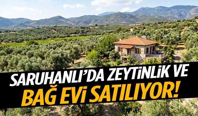 Saruhanlı’da zeytinlik ve bağ evi satılıyor!