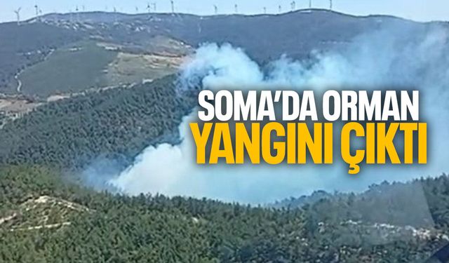 Soma'da orman yangını çıktı!