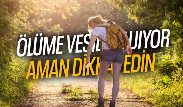 Yaz aylarının kabusu geri döndü!