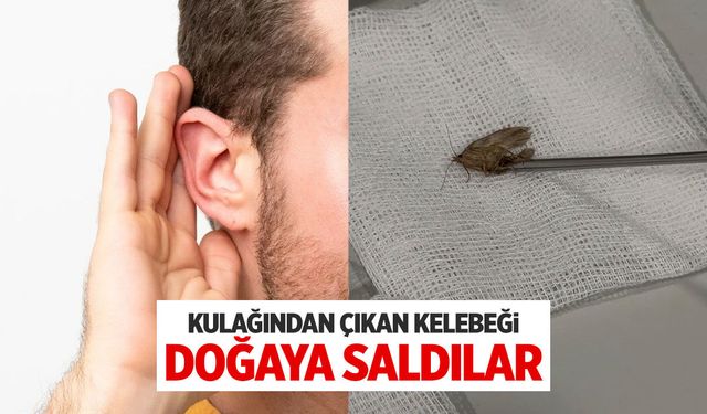 40 yaşındaki adamın kulağından çıkan kelebeği doğaya saldılar