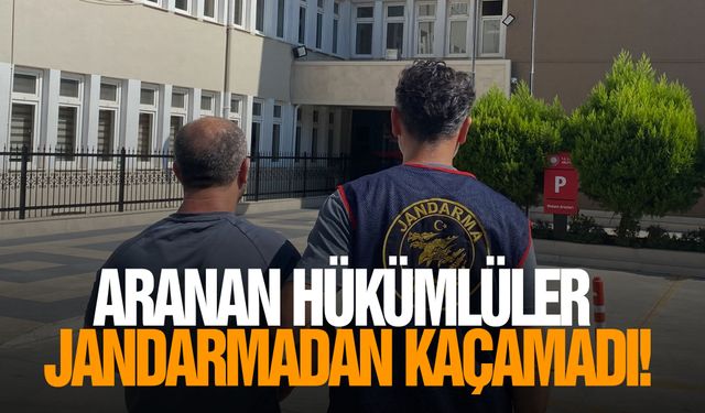 Aranan hükümlüler jandarmadan kaçamadı!