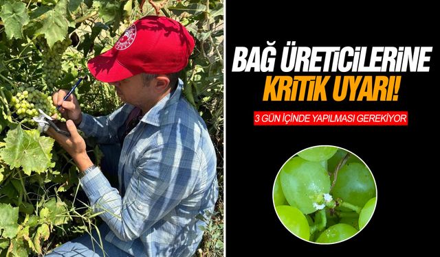 Bağ üreticilerine kritik uyarı! 3 gün içinde yapılması gerekiyor