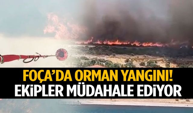 Foça’da orman yangını! Ekipler havadan ve karadan seferber oldu!