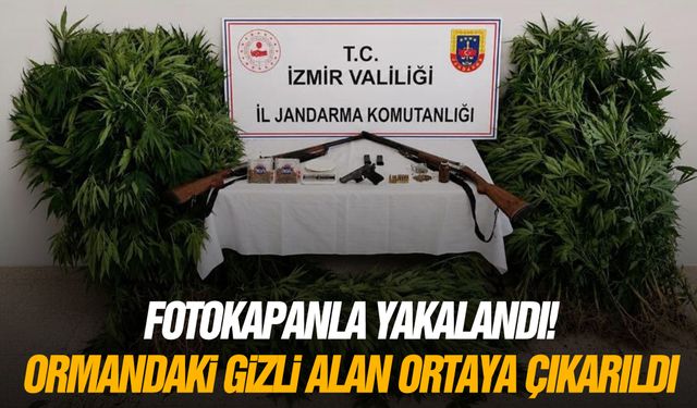 Fotokapanla yakalandı! Ormandaki gizli alan ortaya çıkarıldı