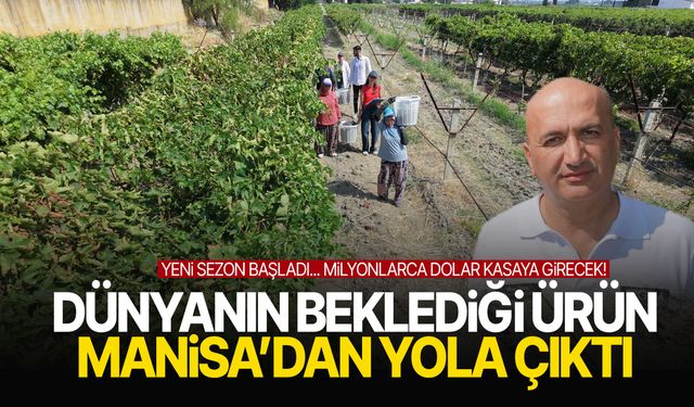 Manisa’da yeni sezon başladı! Milyonlarca dolar kasaya girecek