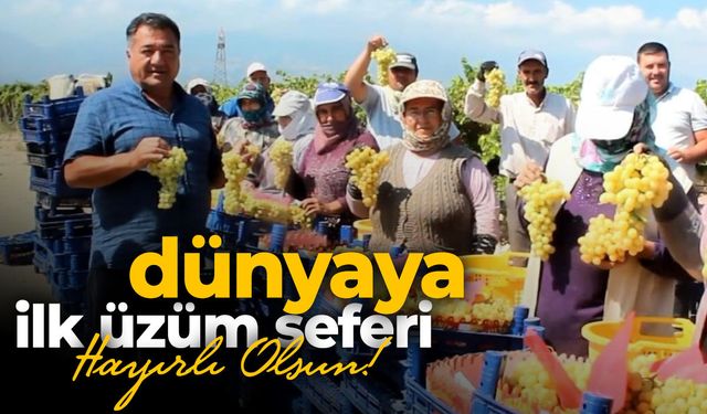 Manisa'dan dünyaya ilk üzümler yola çıktı