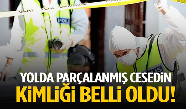 14 yıllık sır perdesi aralandı! Yolda parçalanmış cesedin kimliği belli oldu