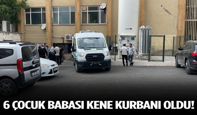 6 çocuk babası kene kurbanı oldu!