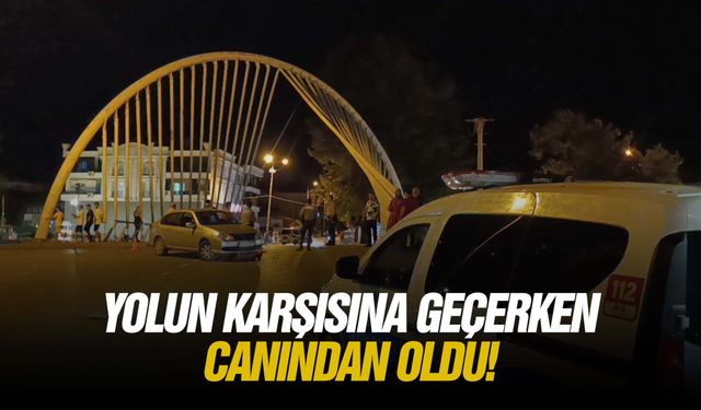 Yolun karşısına geçerken canından oldu!