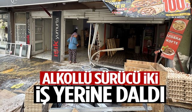 Alkollü sürücü iki iş yerine daldı!