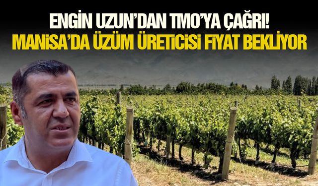 Engin Uzun’dan TMO’ya çağrı! Manisa’da üzüm üreticisi fiyat bekliyor