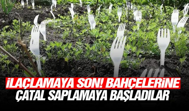 İlaçlamaya son! Bahçelerine çatal saplamaya başladılar