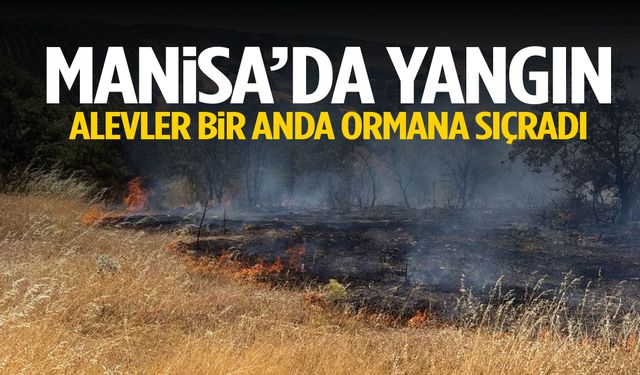 Manisa’da korkutan anlar! Alevler bir anda ormana sıçradı