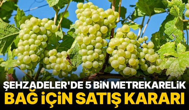Şehzadeler'de 5 bin metrekarelik bağ için satış kararı