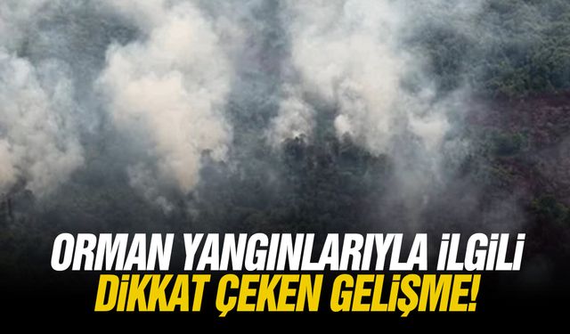Orman yangınlarıyla ilgili dikkat çeken gelişme!