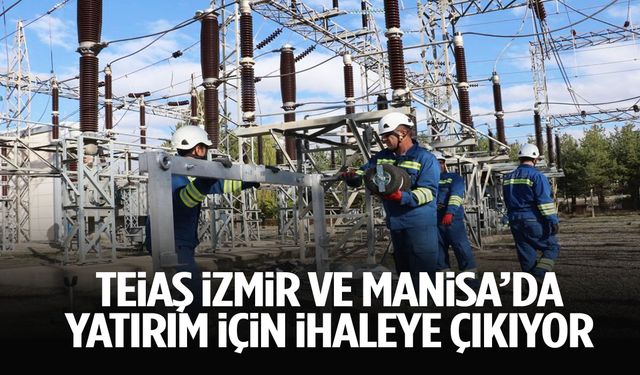 TEİAŞ İzmir ve Manisa'da ihaleye çıkıyor
