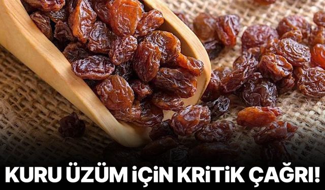 TARİŞ'ten kuru üzüm için kritik çağrı