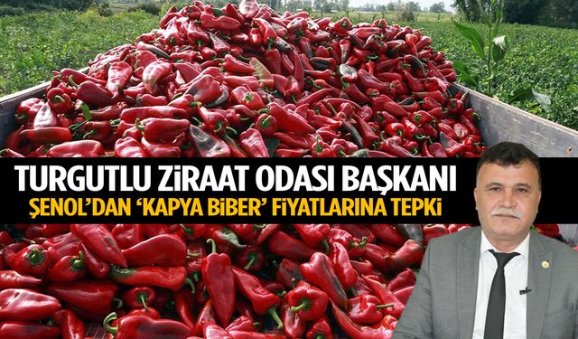 Turgutlu Ziraat Odası Başkanı Şenol’dan kapya biber fiyatlarına tepki!