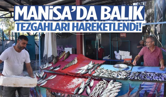 Manisa’da balık tezgahları hareketlendi! Fiyatlar dikkat çekiyor