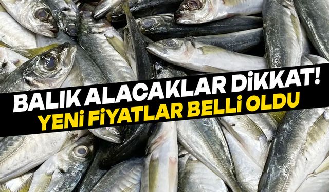 Balık alacaklar dikkat! Gördes’te yeni fiyatlar belli oldu