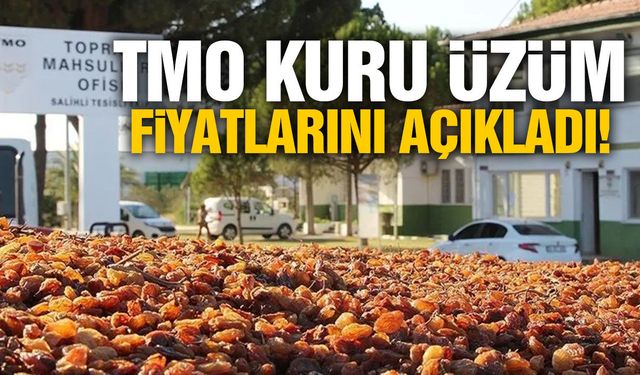 TMO kuru üzüm alım fiyatını açıkladı