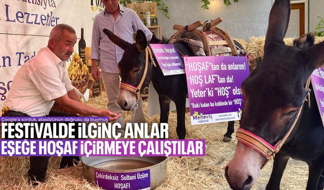 Manisa'da eşeğe hoşaf içirmeye çalıştılar