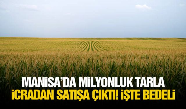 Manisa’da milyonluk tarla icradan satışa çıktı! İşte bedeli