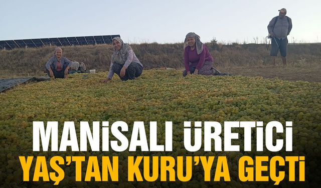 Manisalı üretici yaştan kuruya geçti