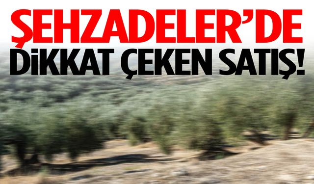 Şehzadeler’de dikkat çeken satış!