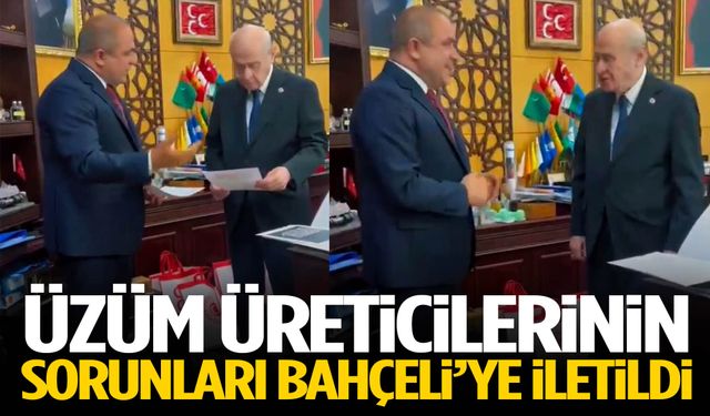 Üzüm üreticilerinin sorunları Bahçeli’ye iletildi