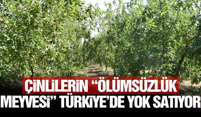 Çinlilerin “ölümsüzlük meyvesi” Türkiye’de yok satıyor