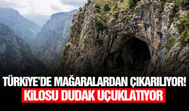 Türkiye’de mağaralardan çıkarılıyor! Kilosu dudak uçuklatıyor