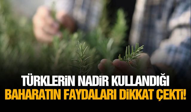 Türklerin nadir kullandığı baharatın faydaları dikkat çekti!