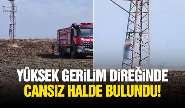 Yüksek gerilim direğinde cansız halde bulundu!